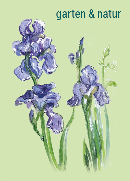 Banner Illustration mit Schriftzug garten & Natur