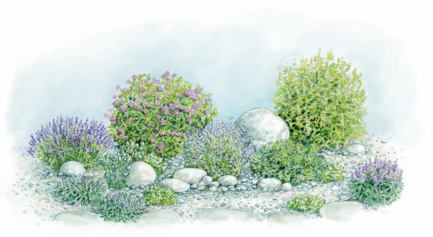 Illustration eines Steingartens mit Aquarell